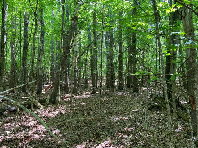 $495,000 | 0 Deering Drive, Gorham, ME 04038