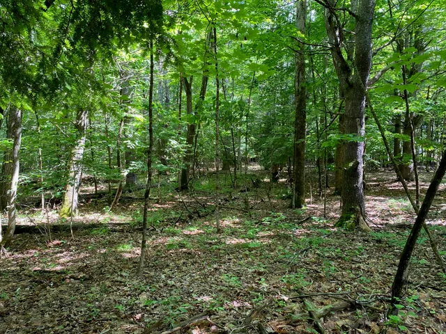 $495,000 | 0 Deering Drive, Gorham, ME 04038