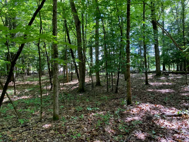 $495,000 | 0 Deering Drive, Gorham, ME 04038