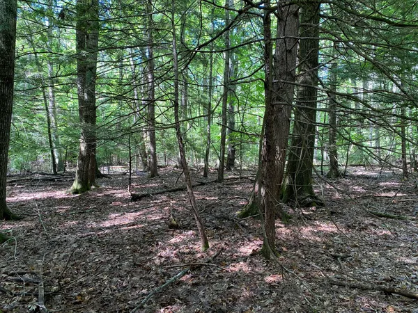 $495,000 | 0 Deering Drive, Gorham, ME 04038