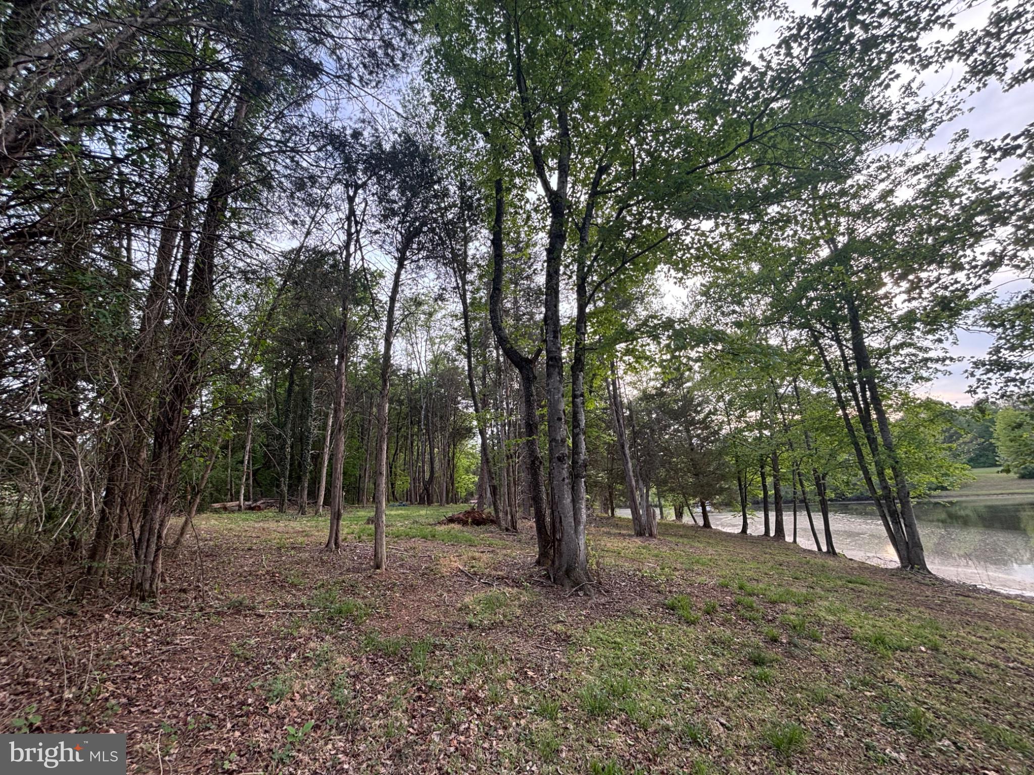 0 McAlexander Road Orange, VA 22960 - Photo 4 of 19
