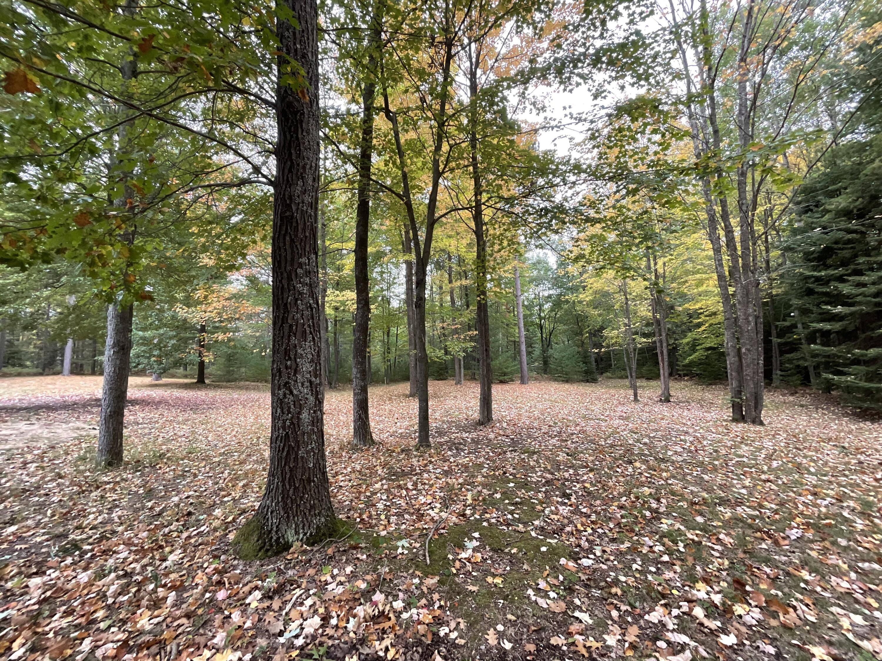 9141 Piper Road Ossineke, MI 49766 - Photo 24 of 24 Gallery Image 24