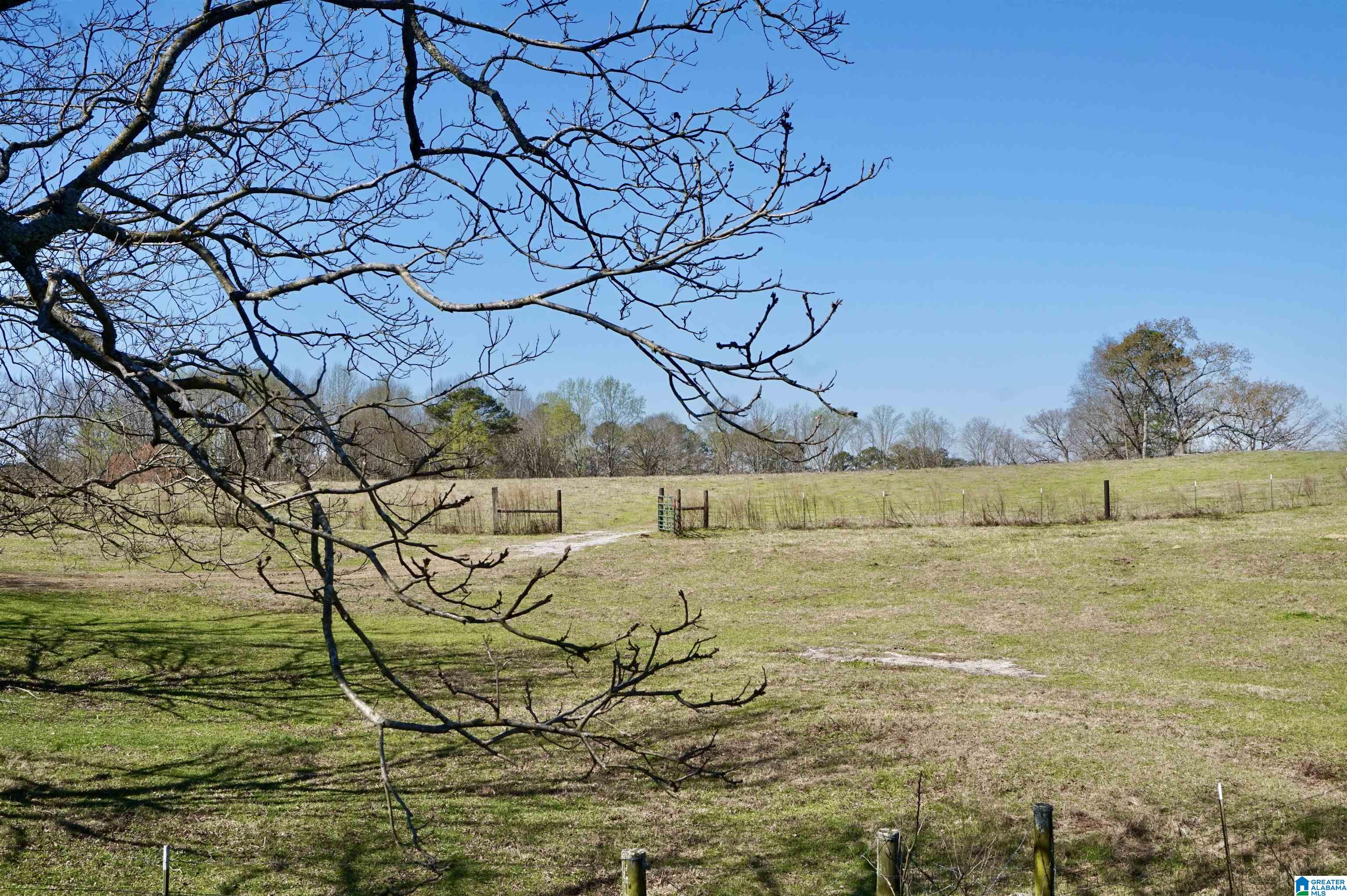 8115 Helicon Road Arley, AL 35541 - Photo 70 of 86