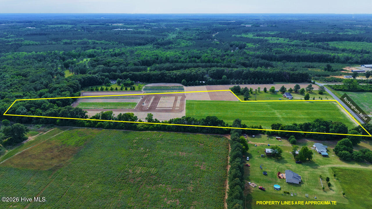 5901 Rockingham Road Laurel Hill, NC 28351 - Photo 4 of 16 03
