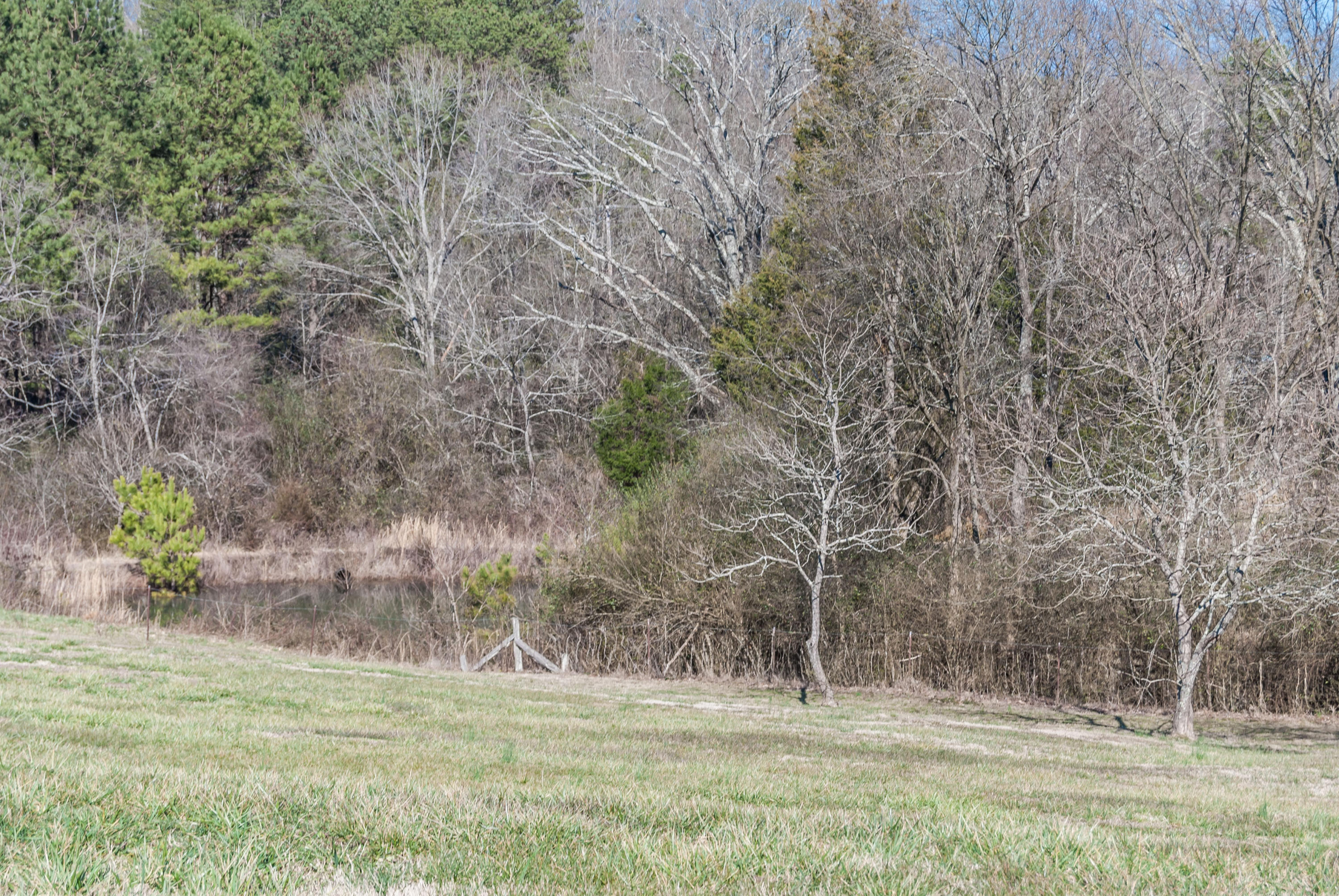 9010 Bramlett Road Harrison, TN 37341 - Photo 35 of 35 ERA Blue Key Properties Bramlett-1-10