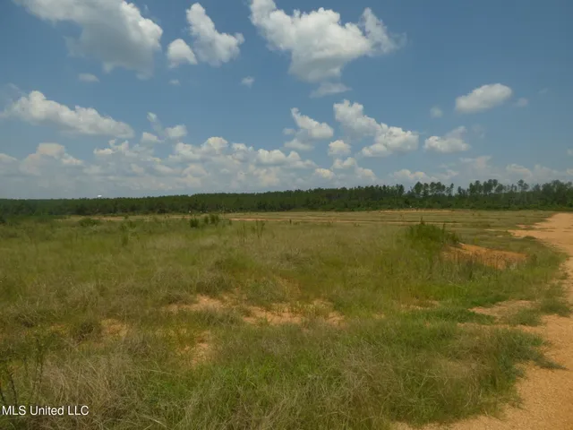 $113,000 | 161 Old Holmesville Road, Tylertown, MS 39667