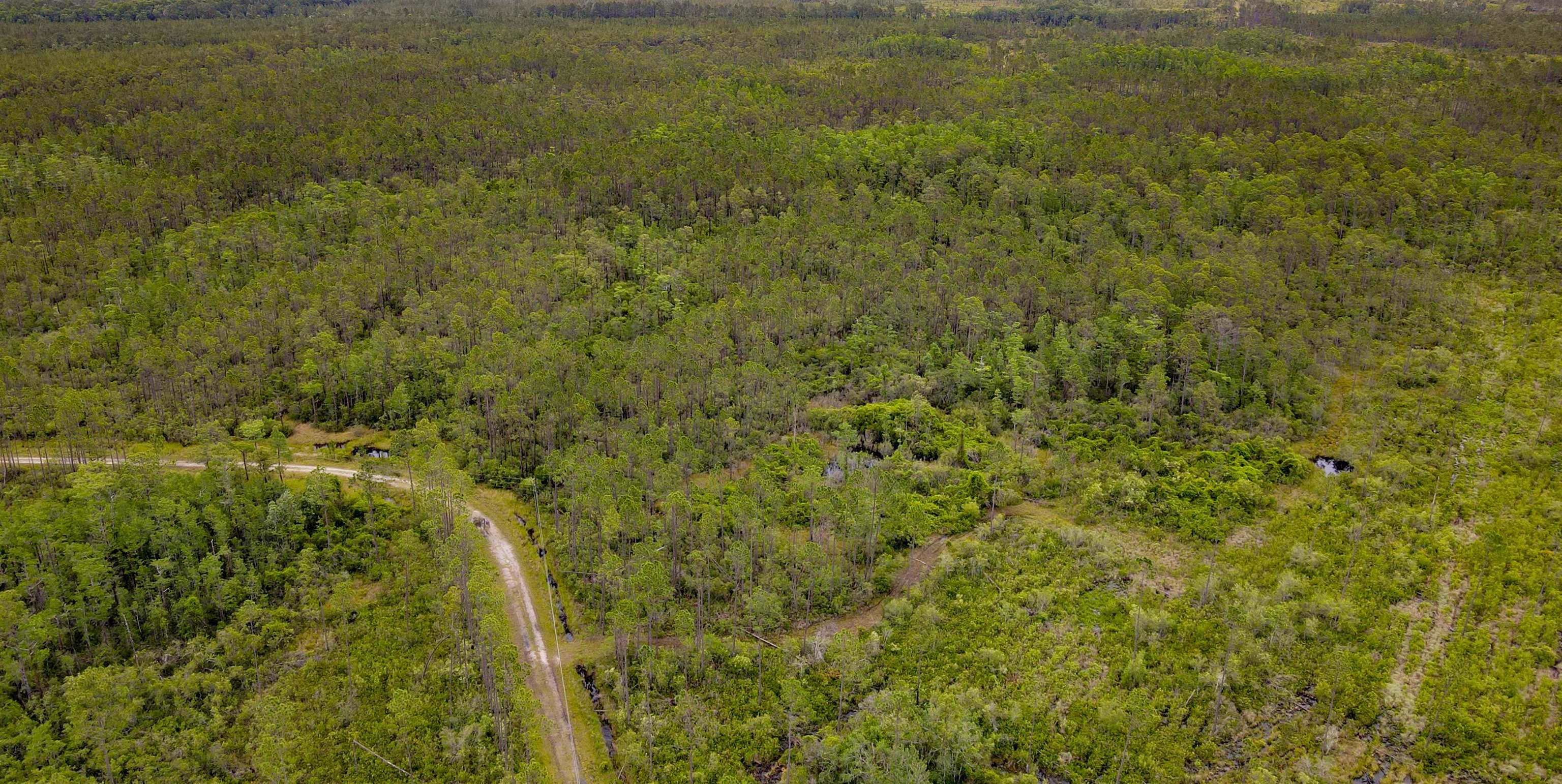 82 Circle Block Loop Greenville, FL 32331 - Photo 11 of 18 Gallery Image 11
