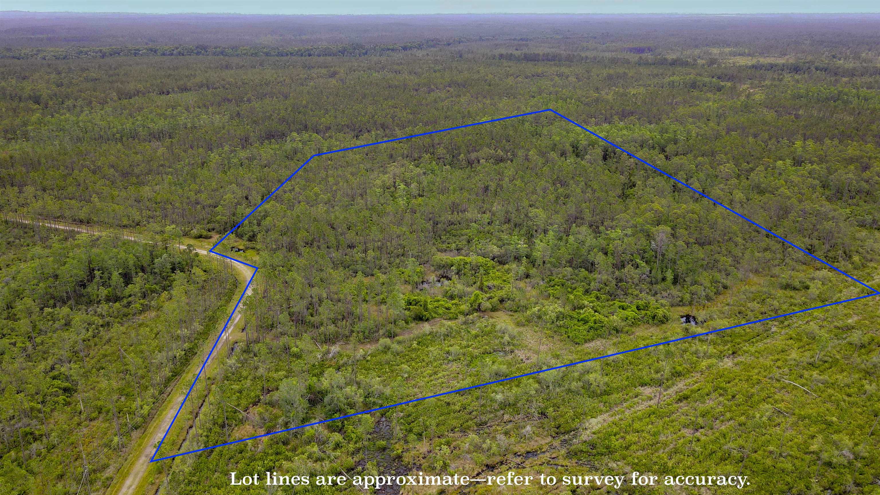 82 Circle Block Loop Greenville, FL 32331 - Photo 12 of 18 Gallery Image 12