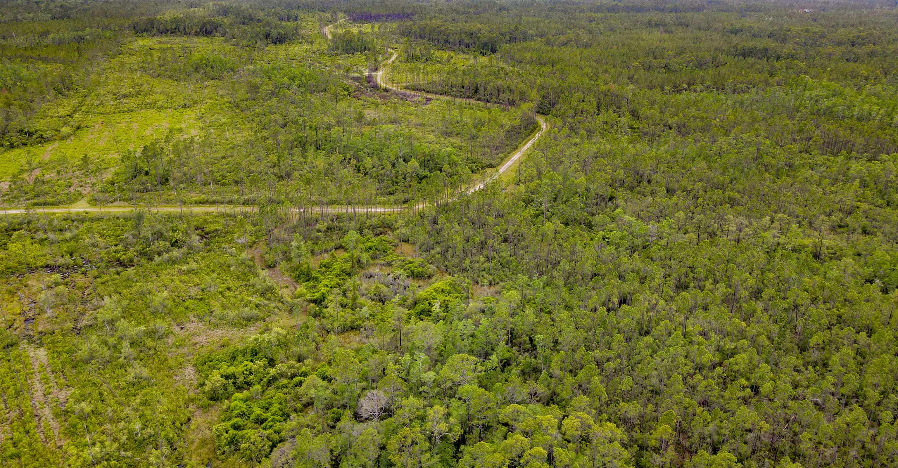82 Circle Block Loop Greenville, FL 32331 - Photo 16 of 18 Gallery Image 16