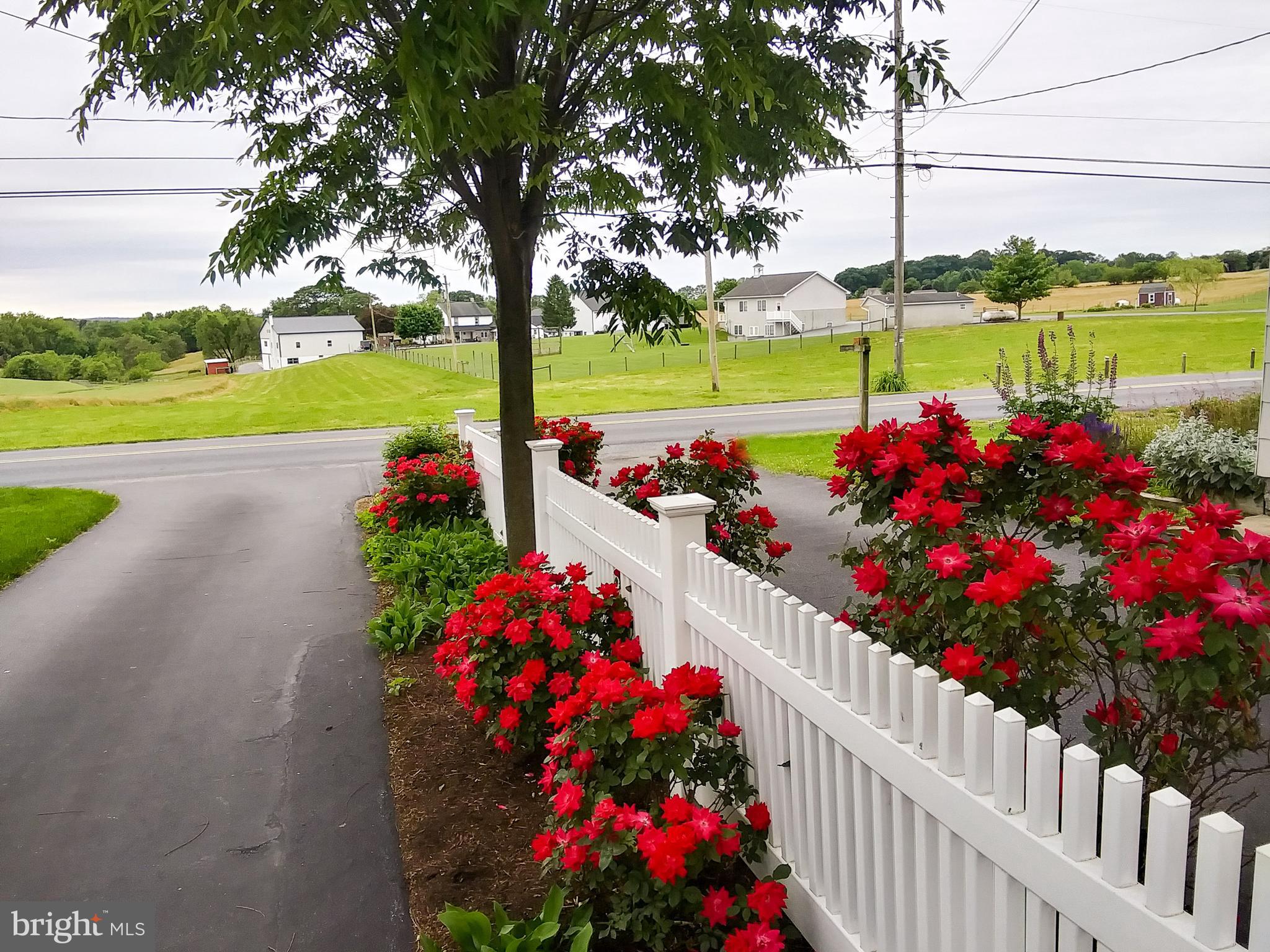 128 Fairland Road Lititz, PA 17543 - Photo 2 of 47 Beautiful landscaping