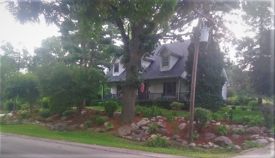 a front view of a house with yard tree s