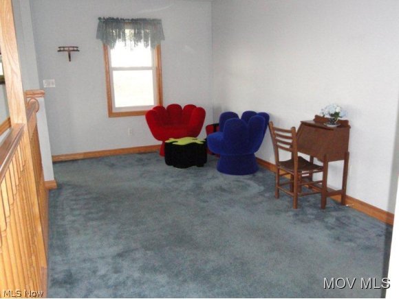 906 Eli Locust Road Washington, WV 26181 - Photo 8 of 23 Loft area above lower level
