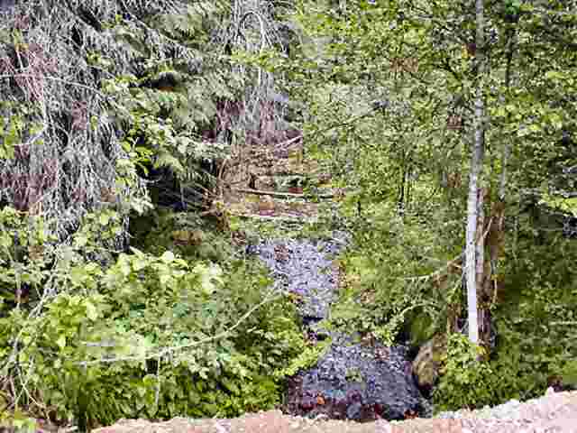Lot 7 Orin-Rice Road Colville, WA 99114 - Photo 4 of 4