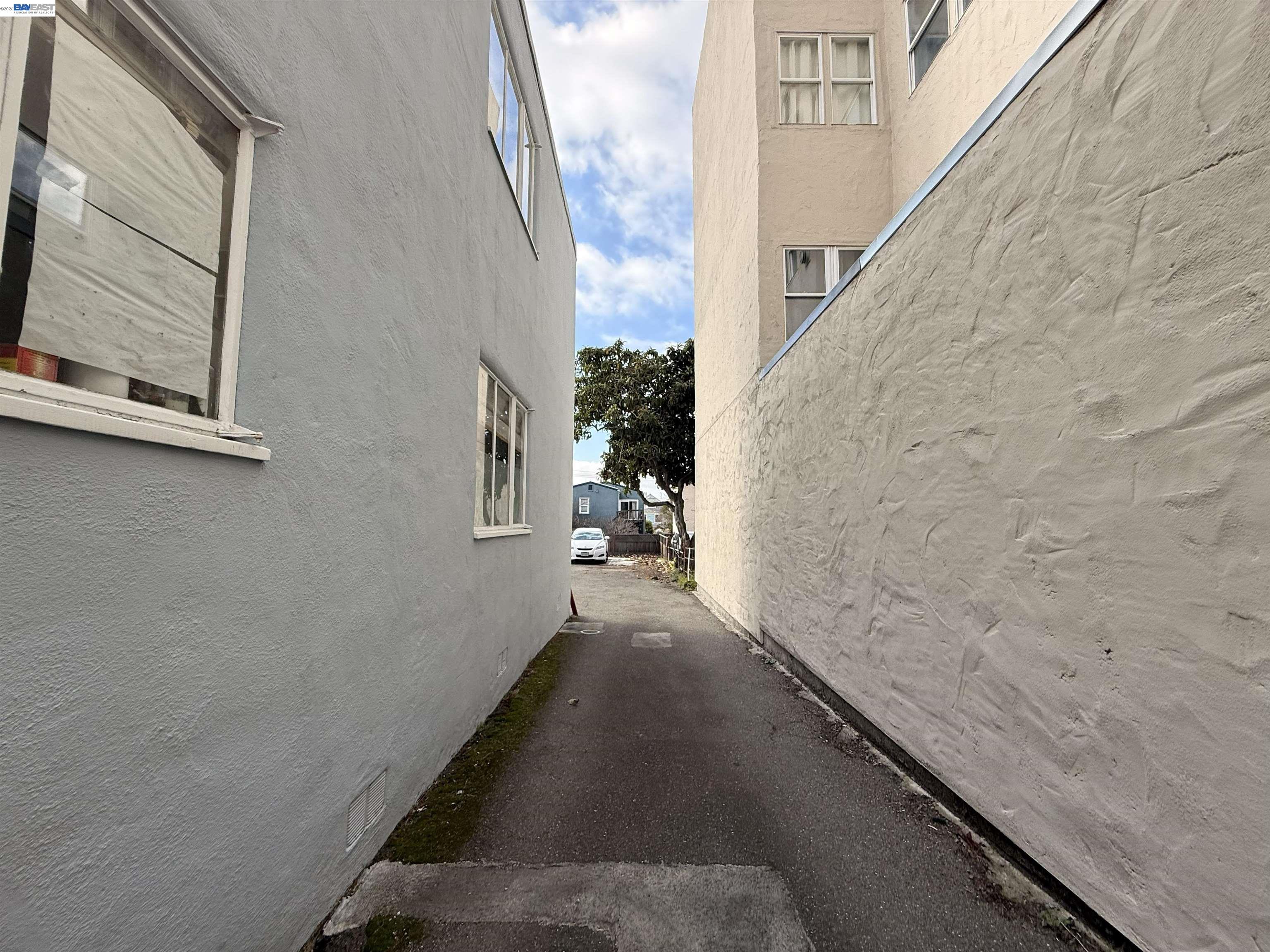 1682 Oxford Street Berkeley, CA 94709 - Photo 3 of 7