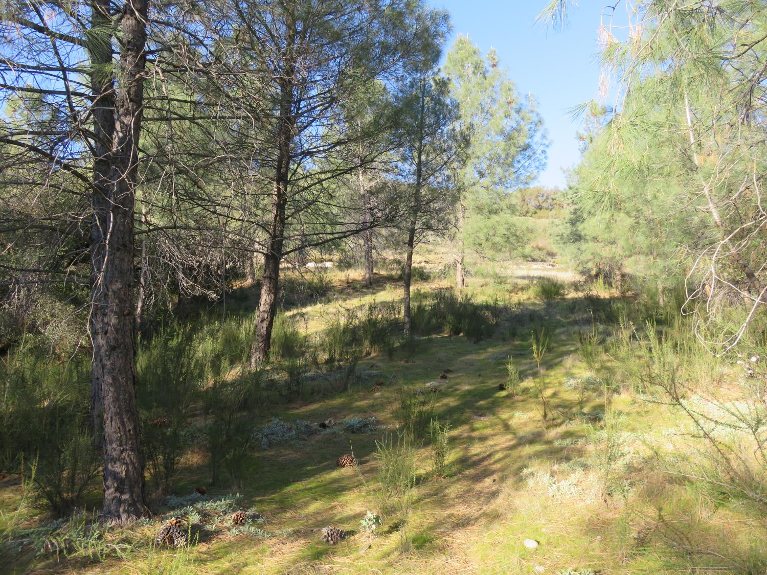 0 White Rock Road Mountain Ranch, CA 95246 - Photo 11 of 37 a view of lake
