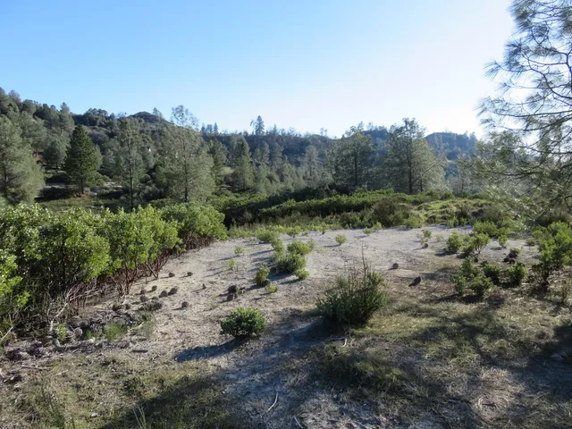$93,000 | 0 White Rock Road, Mountain Ranch, CA 95246