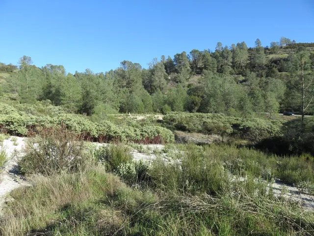 $93,000 | 0 White Rock Road, Mountain Ranch, CA 95246