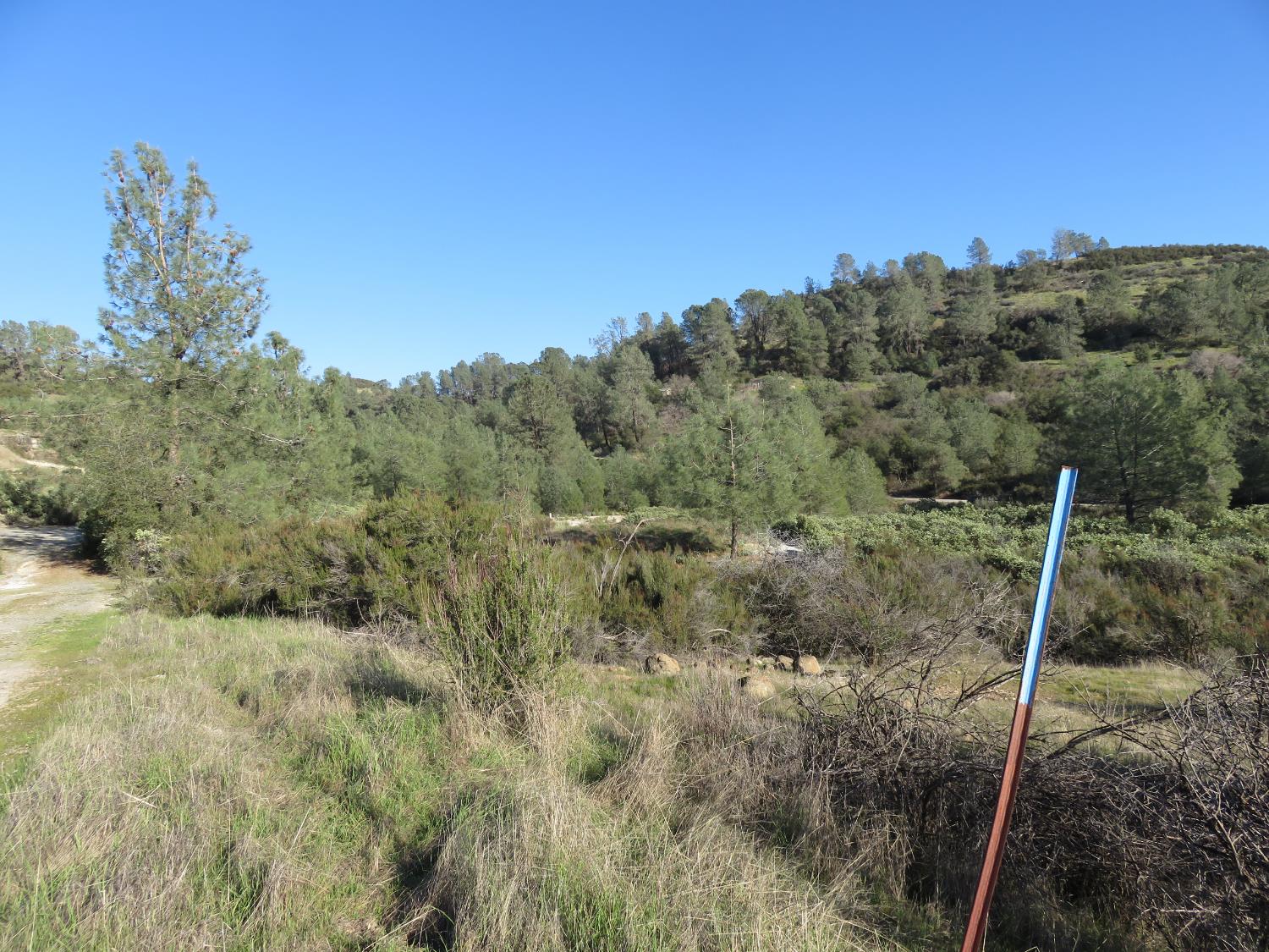 0 White Rock Road Mountain Ranch, CA 95246 - Photo 16 of 37 a view of a outdoor space with green field and mountains