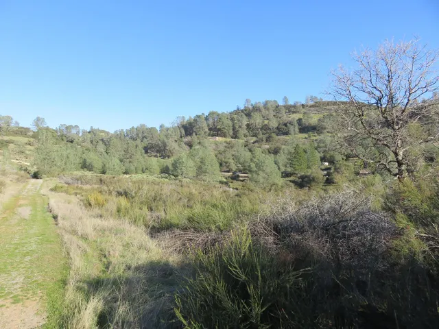 $93,000 | 0 White Rock Road, Mountain Ranch, CA 95246