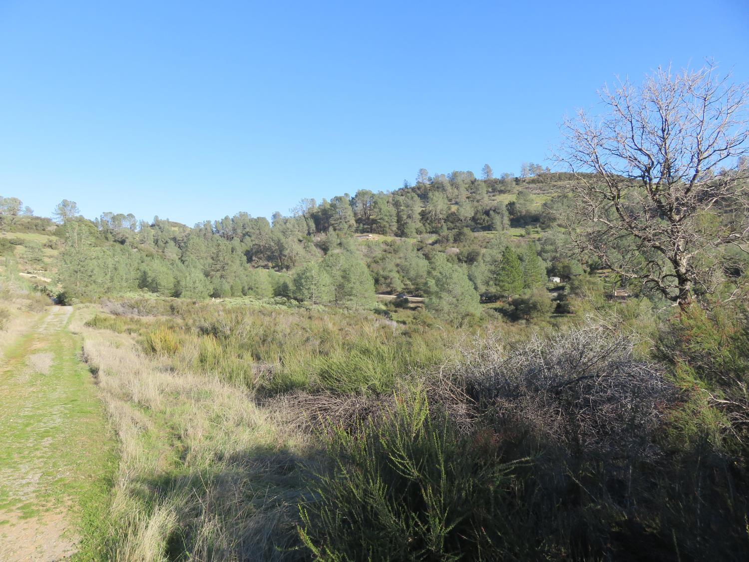 0 White Rock Road Mountain Ranch, CA 95246 - Photo 17 of 37 a view of a field of grass and trees