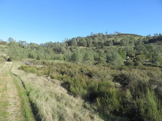 $93,000 | 0 White Rock Road, Mountain Ranch, CA 95246