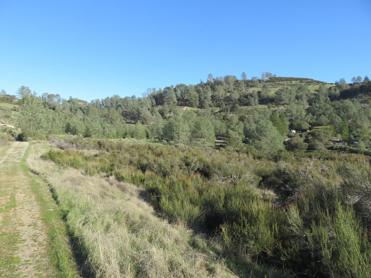 0 White Rock Road Mountain Ranch, CA 95246 - Photo 18 of 37 a view of a city with lush green forest