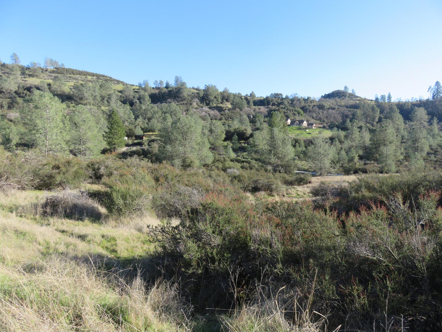 0 White Rock Road Mountain Ranch, CA 95246 - Photo 19 of 37 a view of a mountain in the distance in a field