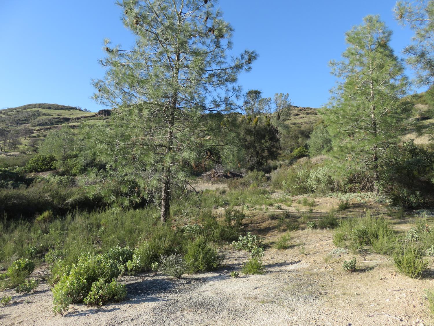 0 White Rock Road Mountain Ranch, CA 95246 - Photo 20 of 37 a view of a lake with a mountain in the background