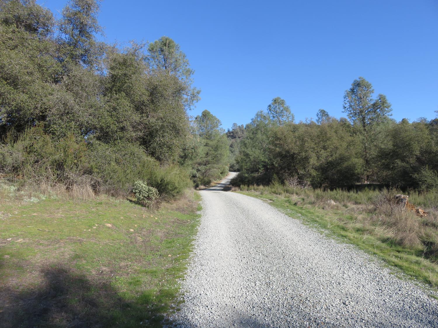 0 White Rock Road Mountain Ranch, CA 95246 - Photo 2 of 37 a view of a road with a yard