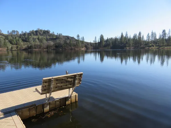 a wooden bench sitting in a lake next to a building
