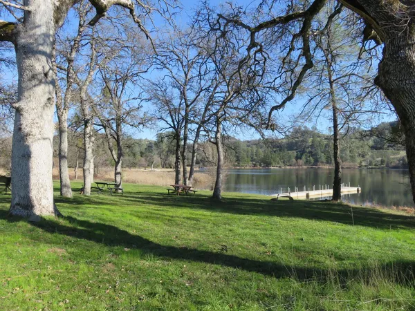 a view of a park with large trees
