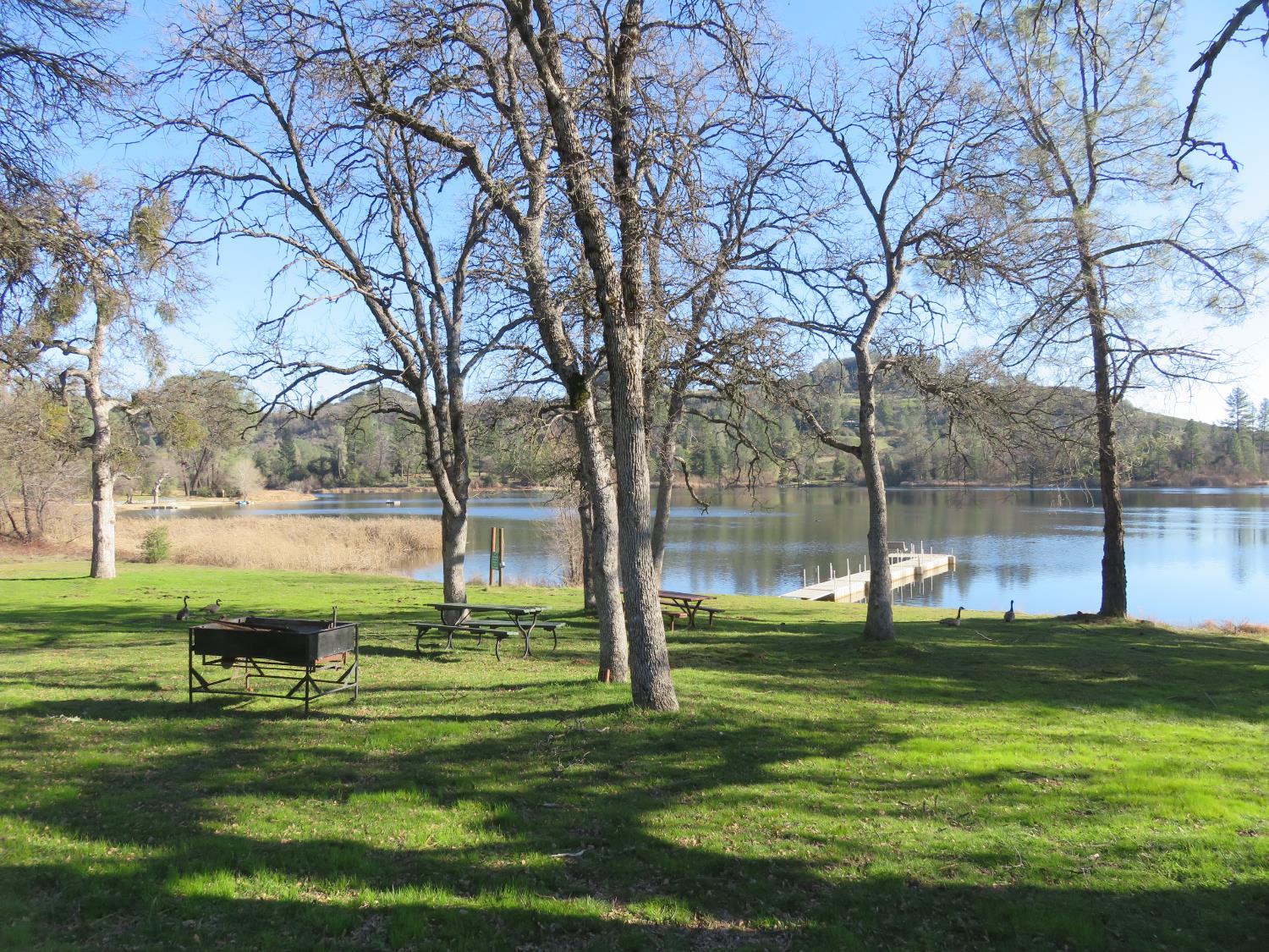 0 White Rock Road Mountain Ranch, CA 95246 - Photo 30 of 37 a view of a park with large trees