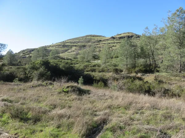 a view of a dry yard