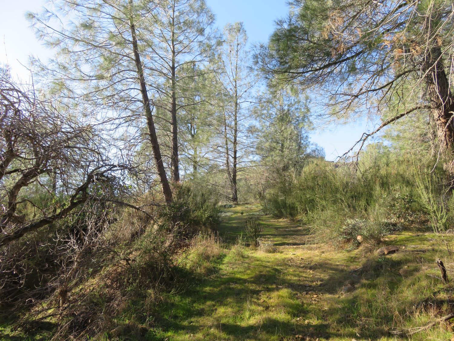 0 White Rock Road Mountain Ranch, CA 95246 - Photo 10 of 37 a view of lake