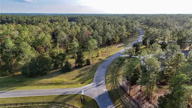 an aerial view of a house with a swimming pool and lake view