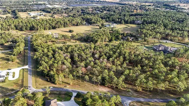 a view of outdoor space with lots of trees
