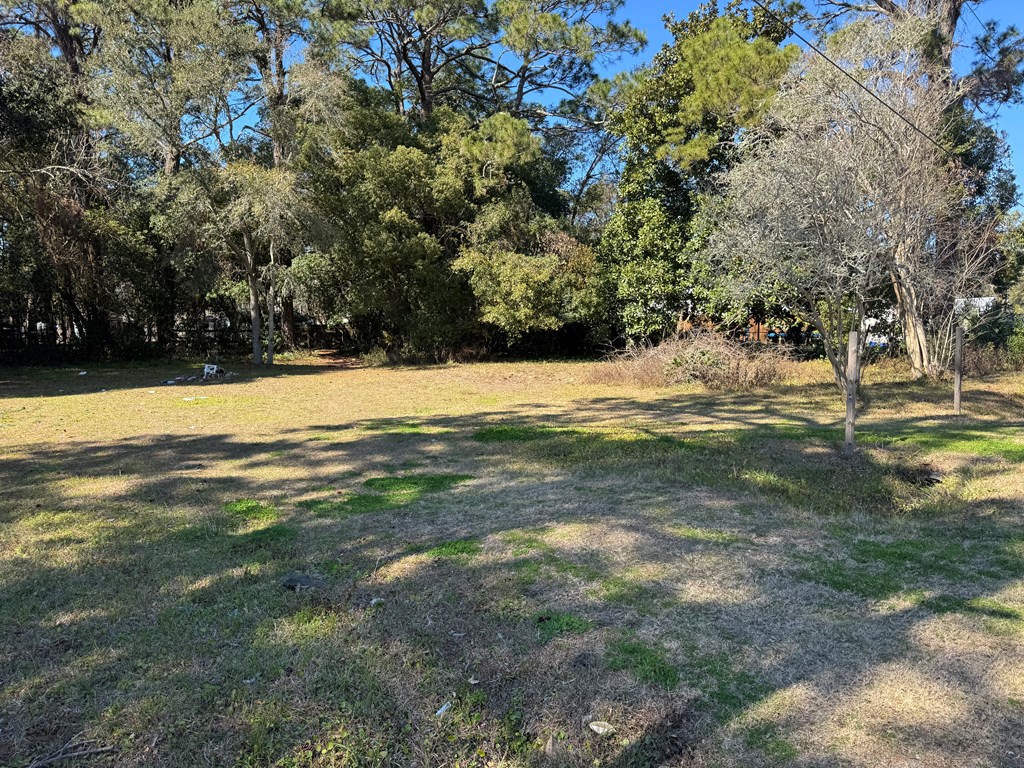 368 Old Ferry Dock Road Eastpoint, FL 32328 - Photo 4 of 9