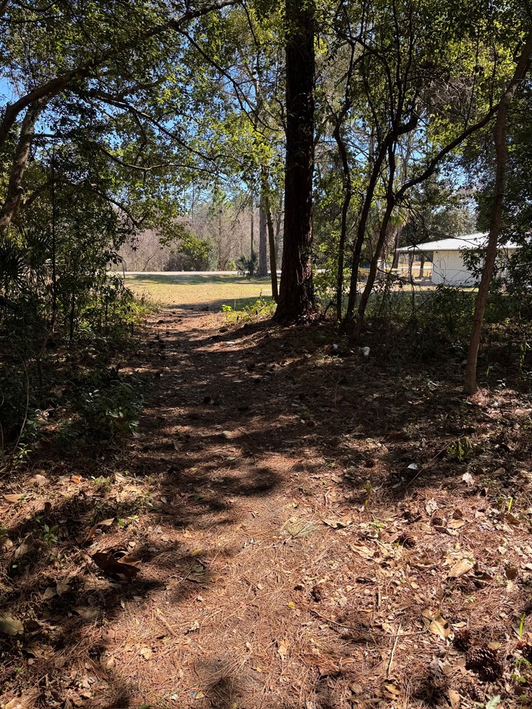 368 Old Ferry Dock Road Eastpoint, FL 32328 - Photo 8 of 9