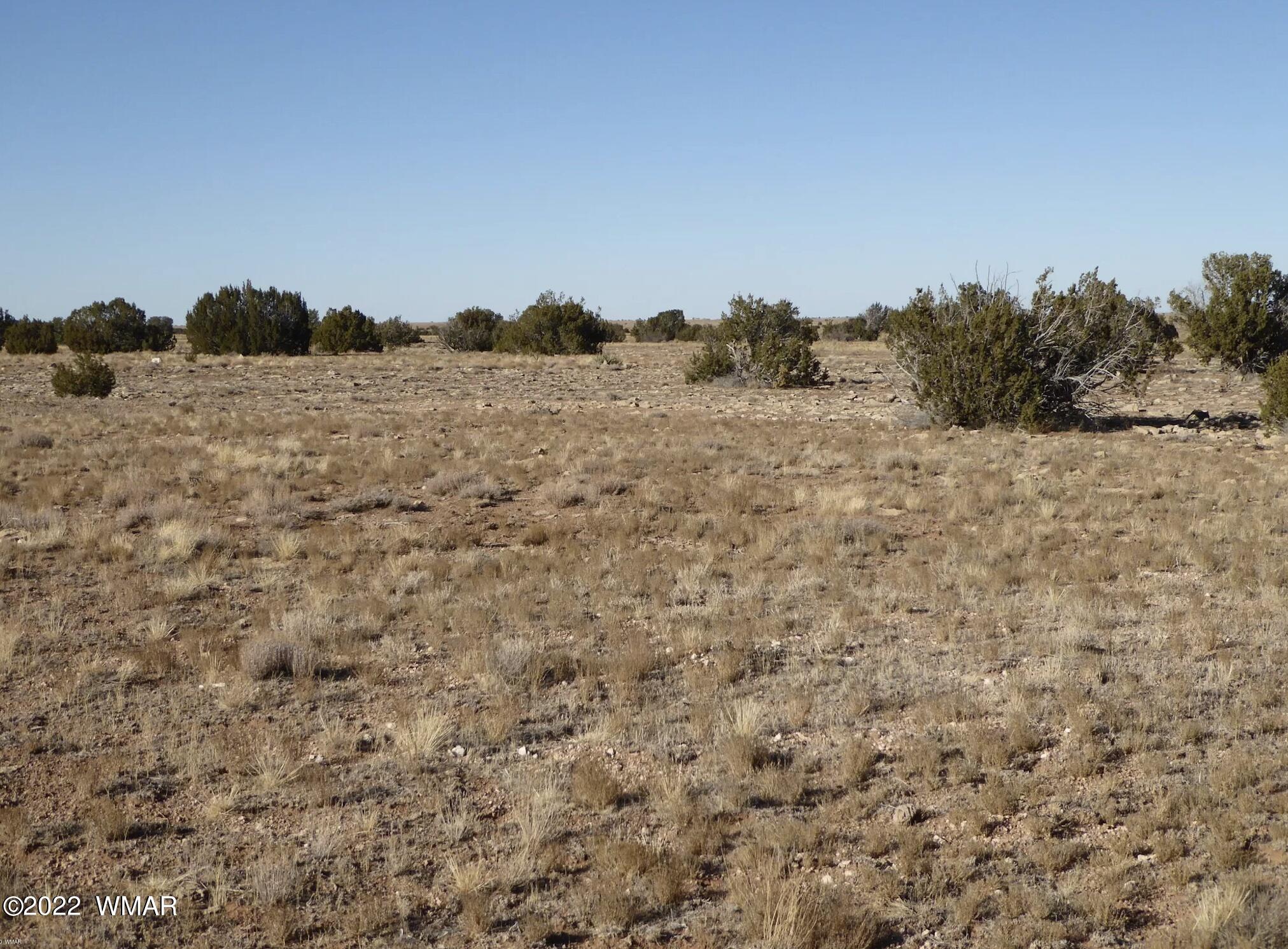 5720 Castle Road Heber, AZ 85928 - Photo 2 of 7 Gallery Image 2