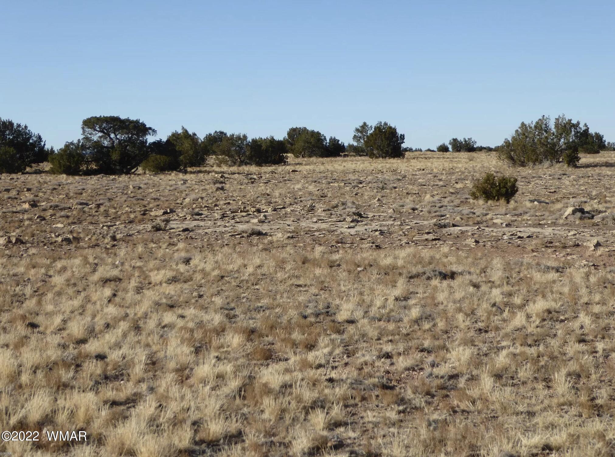 5720 Castle Road Heber, AZ 85928 - Photo 3 of 7 Gallery Image 3