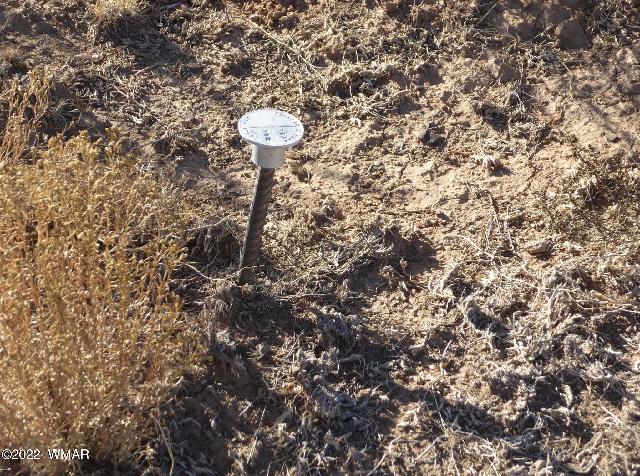 5720 Castle Road Heber, AZ 85928 - Photo 6 of 7 Gallery Image 6