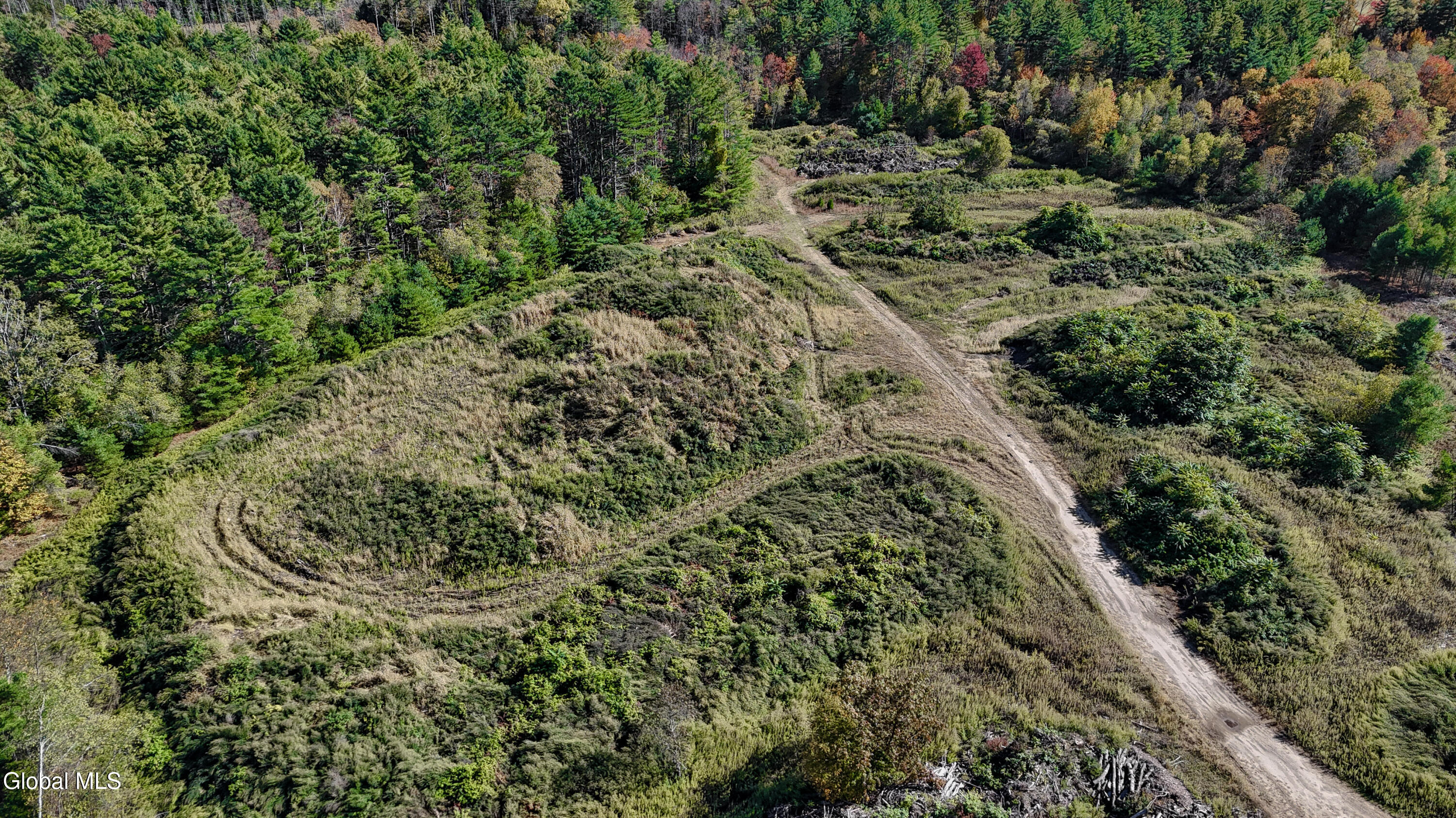 L1-75 Gabriel Road Corinth, NY 12822 - Photo 10 of 31 9-DJI_20251009135646_0032_D
