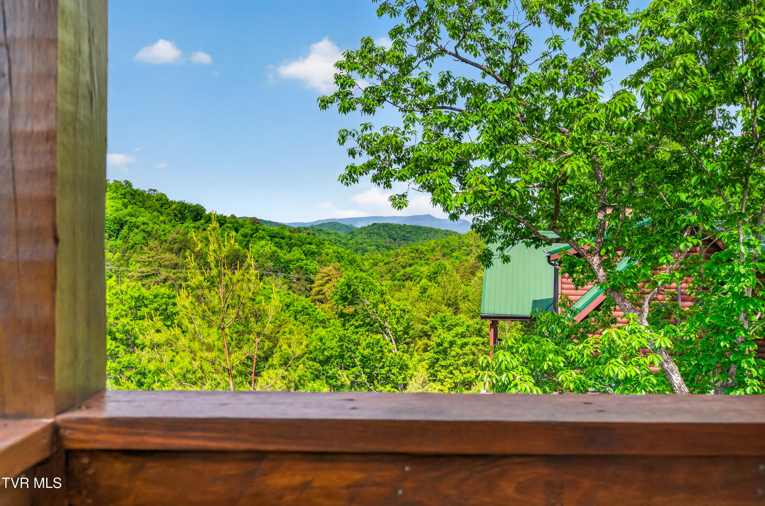 756 Ski View Lane Sevierville, TN 37876 - Photo 41 of 48 DSC_8101