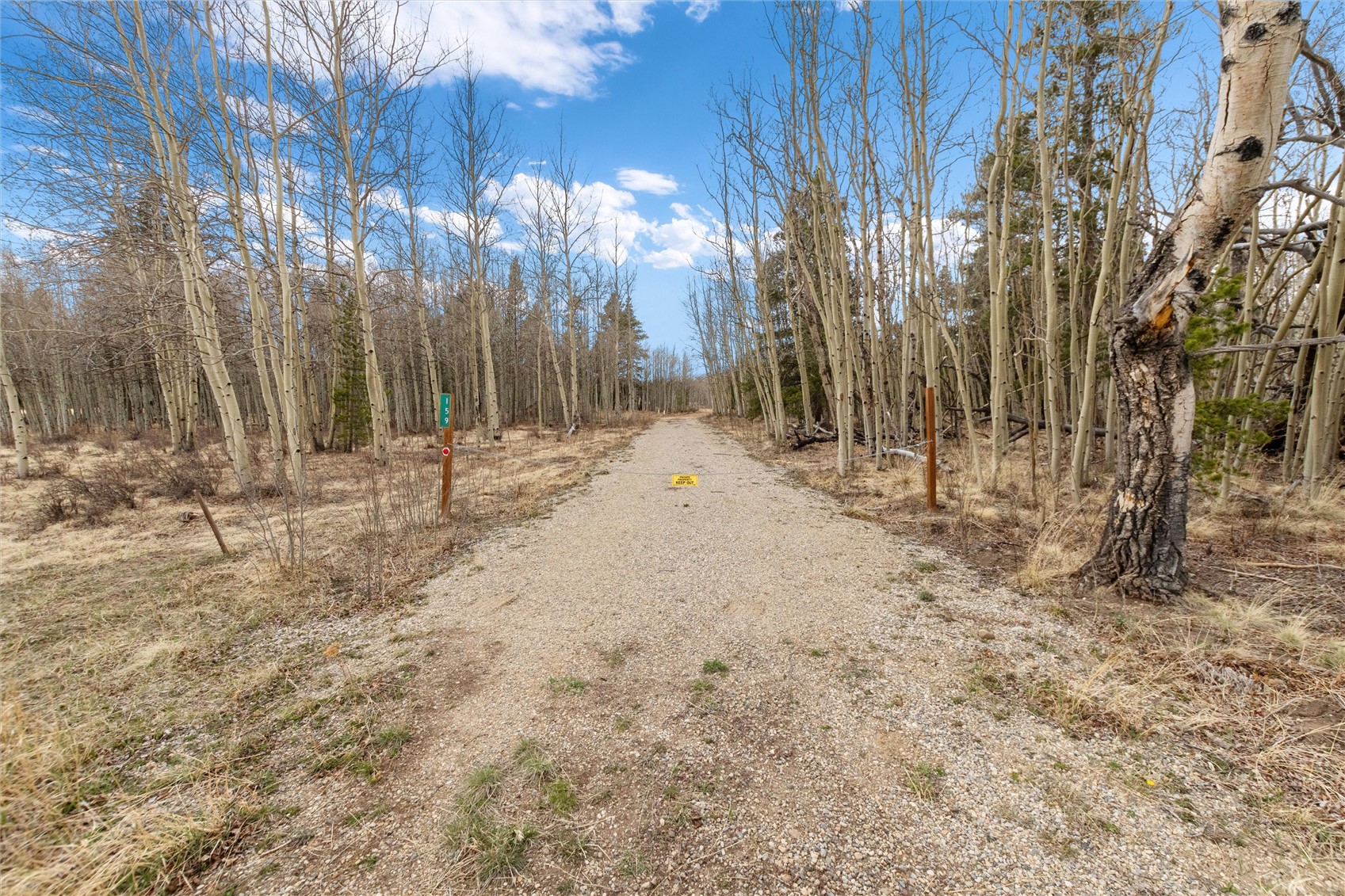 159 Bluestem Way Fairplay, CO 80440 - Photo 3 of 28 a view of dirt yard with a large tree