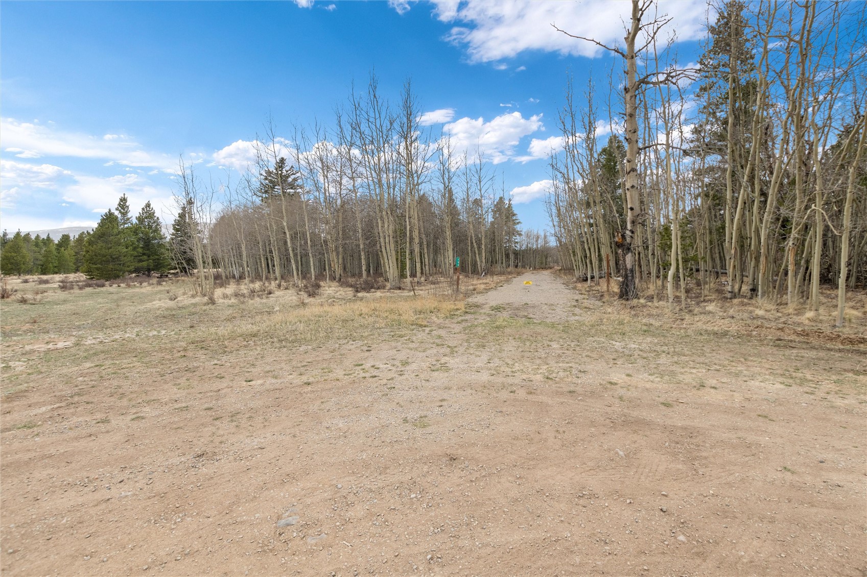 159 Bluestem Way Fairplay, CO 80440 - Photo 5 of 28 a view of dirt yard with trees