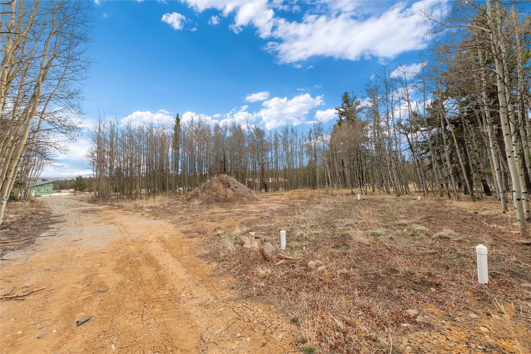 159 Bluestem Way Fairplay, CO 80440 - Photo 7 of 28