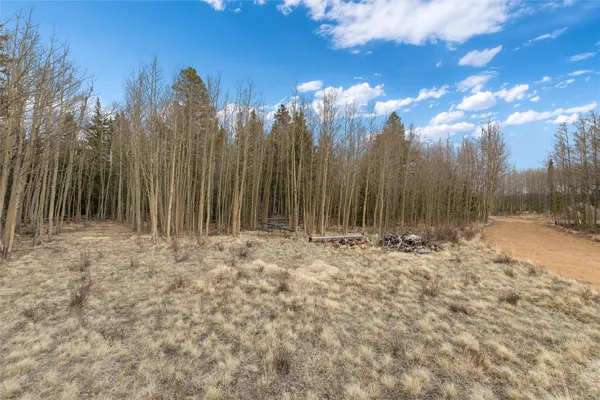 a view of a yard with trees