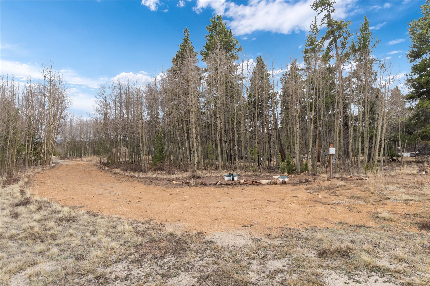159 Bluestem Way Fairplay, CO 80440 - Photo 9 of 28 a view of a yard with trees