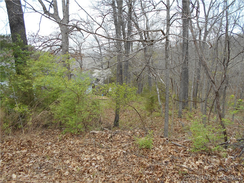 Round Table Drive Camdenton, MO 65020 - Photo 2 of 3 Lot slopes down, perfect for walk out lower level