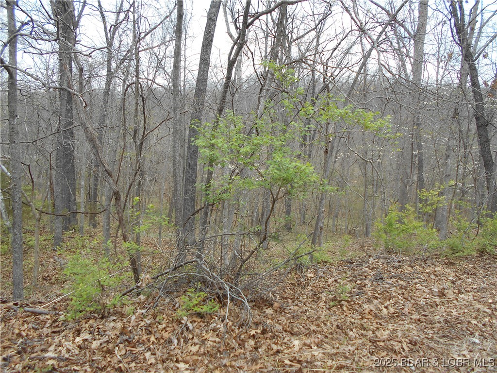 Round Table Drive Camdenton, MO 65020 - Photo 3 of 3